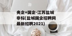 央企+国企-江苏盐城非标(盐城国企招聘网最新招聘2021)