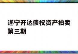 遂宁开达债权资产拍卖第三期