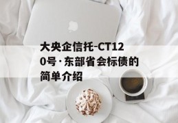 大央企信托-CT120号·东部省会标债的简单介绍