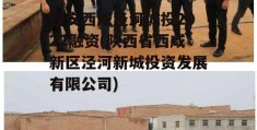 西安西咸泾河城投2022融资(陕西省西咸新区泾河新城投资发展有限公司)