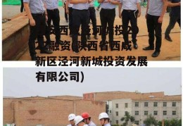 西安西咸泾河城投2022融资(陕西省西咸新区泾河新城投资发展有限公司)