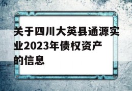 关于四川大英县通源实业2023年债权资产的信息