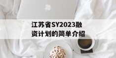 江苏省SY2023融资计划的简单介绍