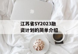 江苏省SY2023融资计划的简单介绍