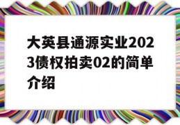 大英县通源实业2023债权拍卖02的简单介绍