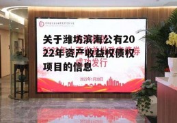 关于潍坊滨海公有2022年资产收益权债权项目的信息