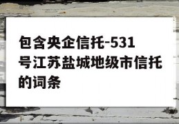 包含央企信托-531号江苏盐城地级市信托的词条