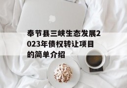 奉节县三峡生态发展2023年债权转让项目的简单介绍