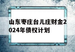 山东枣庄台儿庄财金2024年债权计划