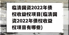 临清国资2022年债权收益权项目(临清国资2022年债权收益权项目有哪些)