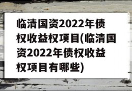 临清国资2022年债权收益权项目(临清国资2022年债权收益权项目有哪些)