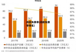 政府负债率(政府负债率排名)