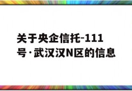 关于央企信托-111号·武汉汉N区的信息