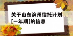 关于山东滨州信托计划[一年期]的信息