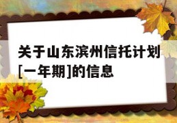 关于山东滨州信托计划[一年期]的信息