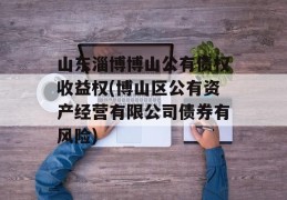 山东淄博博山公有债权收益权(博山区公有资产经营有限公司债券有风险)