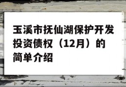 玉溪市抚仙湖保护开发投资债权（12月）的简单介绍