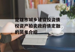 楚雄市城乡建设投资债权资产拍卖政府债定融的简单介绍