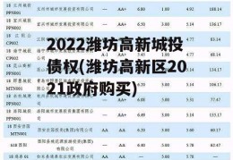 2022潍坊高新城投债权(潍坊高新区2021政府购买)