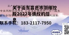 关于山东昌邑市渤维控股2022年债权的信息