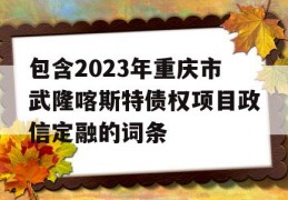 包含2023年重庆市武隆喀斯特债权项目政信定融的词条