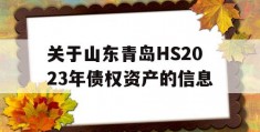 关于山东青岛HS2023年债权资产的信息