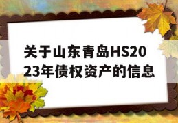 关于山东青岛HS2023年债权资产的信息