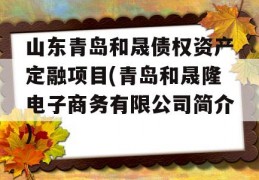 山东青岛和晟债权资产定融项目(青岛和晟隆电子商务有限公司简介)