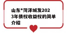 山东*菏泽城发2023年债权收益权的简单介绍