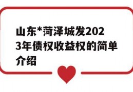 山东*菏泽城发2023年债权收益权的简单介绍