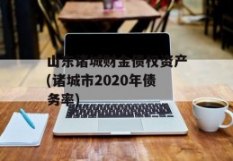 山东诸城财金债权资产(诸城市2020年债务率)