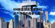 KM新置投资发展债权资产项目的简单介绍