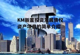 KM新置投资发展债权资产项目的简单介绍