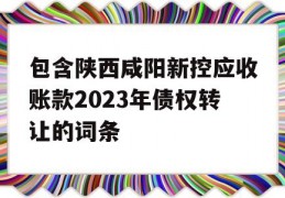 包含陕西咸阳新控应收账款2023年债权转让的词条