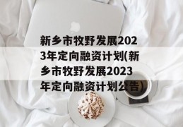 新乡市牧野发展2023年定向融资计划(新乡市牧野发展2023年定向融资计划公告)