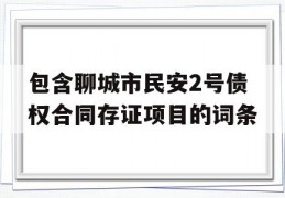 包含聊城市民安2号债权合同存证项目的词条