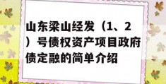 山东梁山经发（1、2）号债权资产项目政府债定融的简单介绍