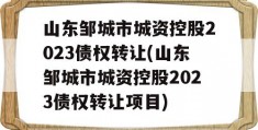 山东邹城市城资控股2023债权转让(山东邹城市城资控股2023债权转让项目)