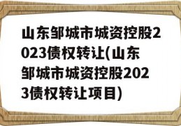 山东邹城市城资控股2023债权转让(山东邹城市城资控股2023债权转让项目)