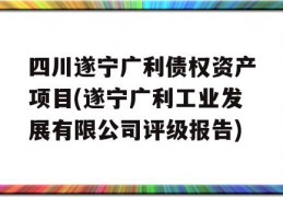 四川遂宁广利债权资产项目(遂宁广利工业发展有限公司评级报告)