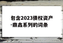 包含2023债权资产-鼎鑫系列的词条