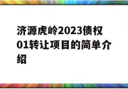 济源虎岭2023债权01转让项目的简单介绍