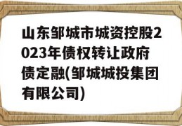 山东邹城市城资控股2023年债权转让政府债定融(邹城城投集团有限公司)