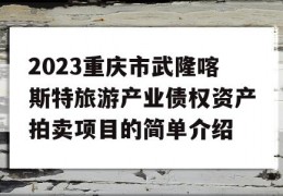 2023重庆市武隆喀斯特旅游产业债权资产拍卖项目的简单介绍