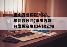 重庆万盛国资2023年债权项目(重庆万盛开发投资集团有限公司)