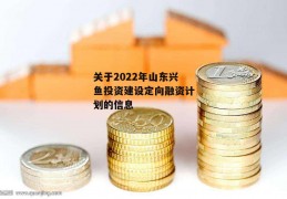 关于2022年山东兴鱼投资建设定向融资计划的信息