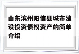 山东滨州阳信县城市建设投资债权资产的简单介绍