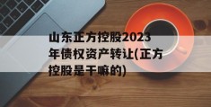 山东正方控股2023年债权资产转让(正方控股是干嘛的)