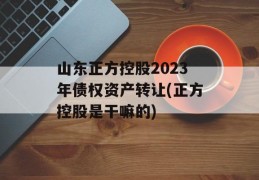 山东正方控股2023年债权资产转让(正方控股是干嘛的)