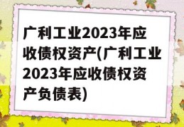 广利工业2023年应收债权资产(广利工业2023年应收债权资产负债表)